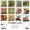 image Tabby Cats 2025 Wall Calendar First Alternate Image width=&quot;1000&quot; height=&quot;1000&quot;