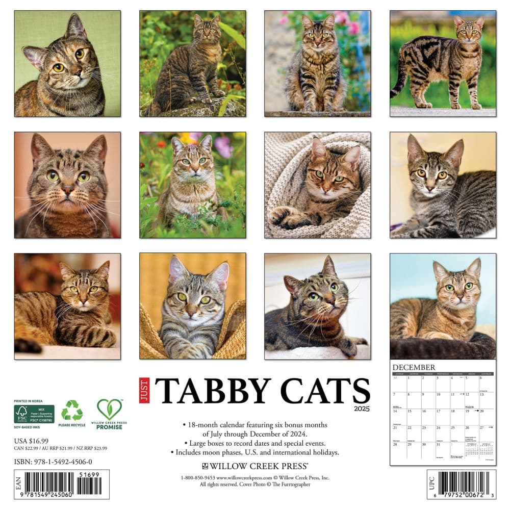 Tabby Cats 2025 Wall Calendar First Alternate Image width=&quot;1000&quot; height=&quot;1000&quot;