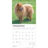 image Chow Chows 2025 Wall Calendar