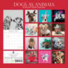 image Dogs as Animals 2024 Wall Calendar First Alternate Image width=&quot;1000&quot; height=&quot;1000&quot;