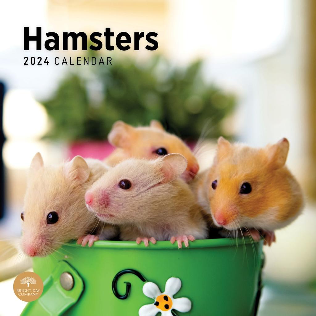 Hamsters 2024 Wall Calendar Main Product Image width=&quot;1000&quot; height=&quot;1000&quot;