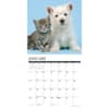 image Kittens and Puppies 2025 Wall Calendar Second Alternate Image width="1000" height="1000"