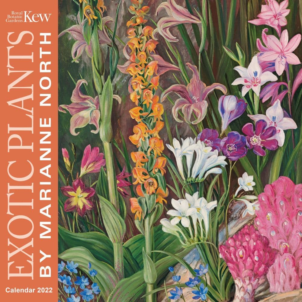Kew Gardens Exotic Plants by Marianne North 2022 Wall Calendar