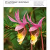 image Audubon Nature Gallery 2025 Page-a-Day Desk Calendar