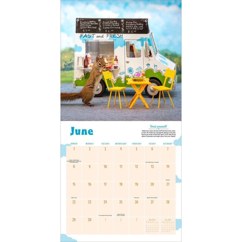 Secret Life of Squirrels 2025 Wall Calendar