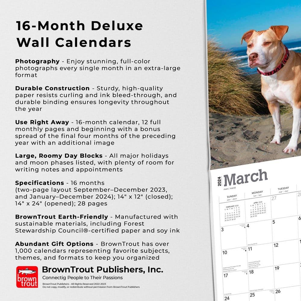 Pit Bull Terriers Deluxe 2024 Wall Calendar