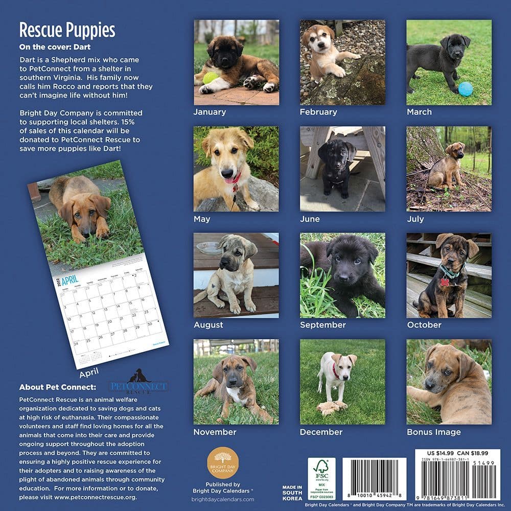 Rescue Puppies 2022 Wall Calendar - Calendars.com