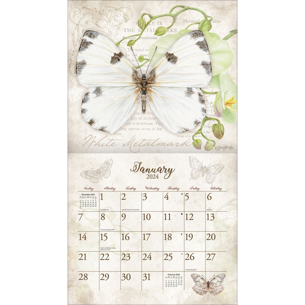 Butterflies Art 2024 Wall Calendar