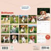 image Brittanys 2026 Wall Calendar First Alternate Image