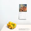 image Colorado 2025 Mini Wall Calendar