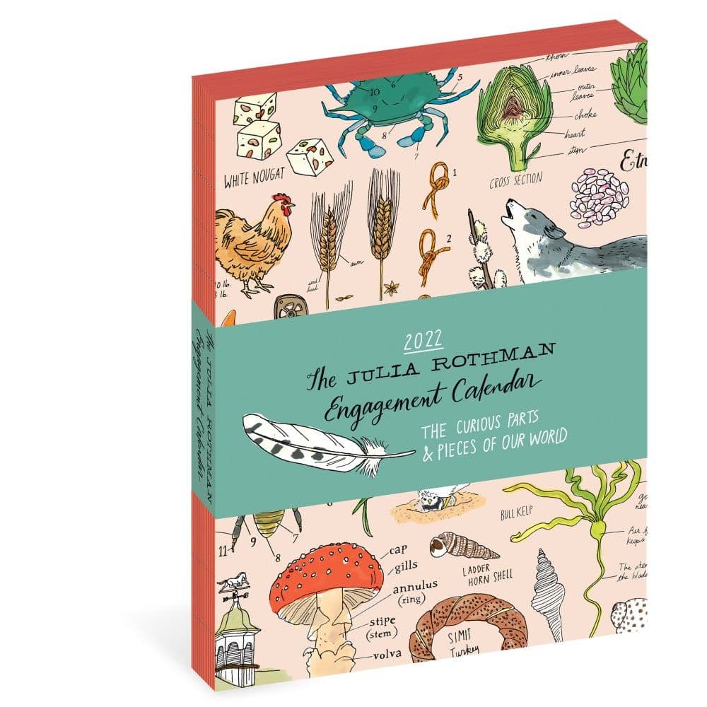 The Julia Rothman 2022 Engagement Calendar