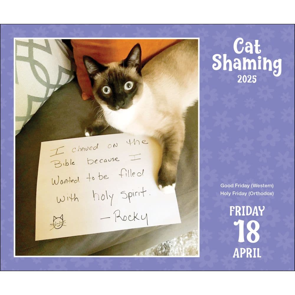 Cat Shaming 2025 Desk Calendar Second Alternate Image width=&quot;1000&quot; height=&quot;1000&quot;