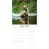 image Border Terriers 2027 Wall Calendar Second Alternate Image