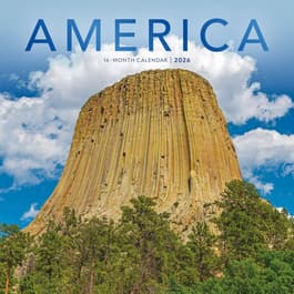 image America Special Value 2026 Wall Calendar Main Image
