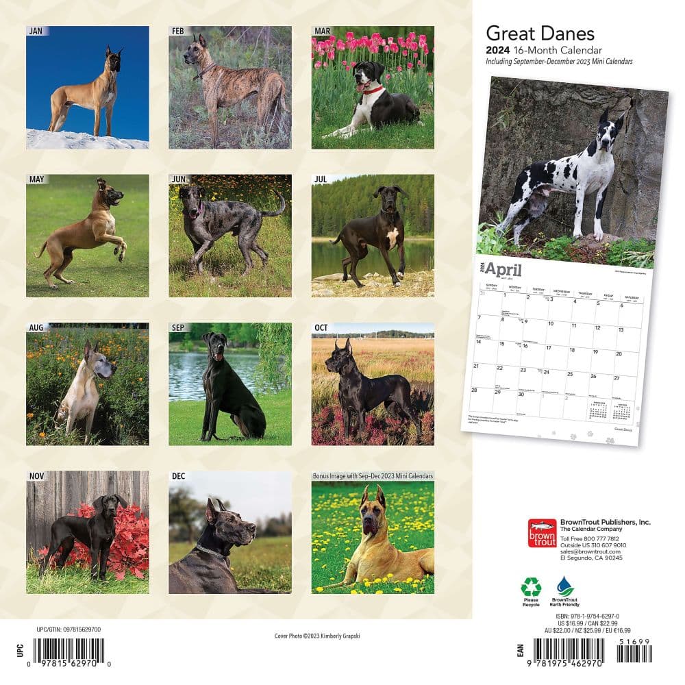 Great Danes 2024 Wall Calendar First Alternate Image width=&quot;1000&quot; height=&quot;1000&quot;