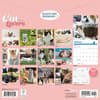 image Cat Lovers 2026 Wall Calendar First Alternate Image