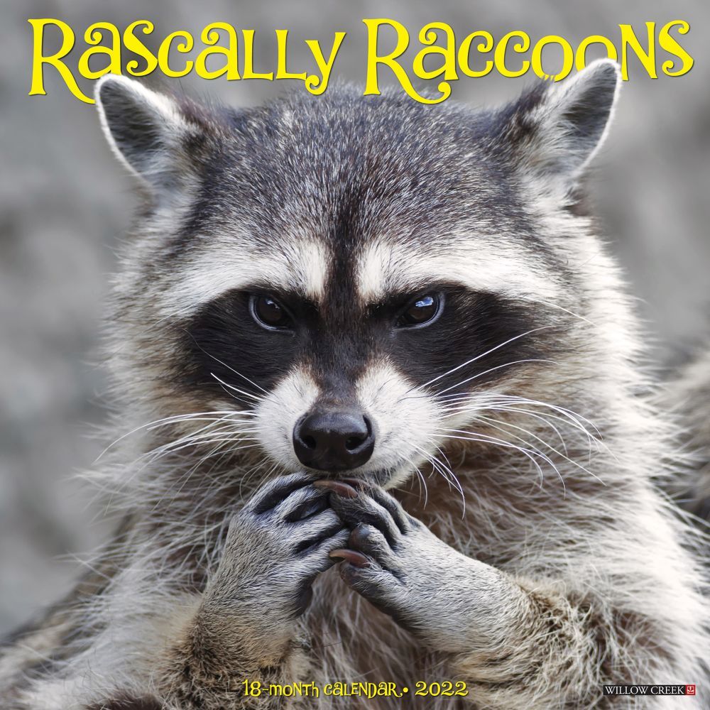 Rascally Raccoons 2022 Wall Calendar