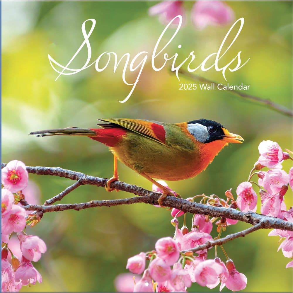 Songbirds 2025 Wall Calendar