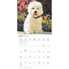 image Just Westies 2026 Wall Calendar Third Alternate Image