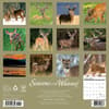 image Seasons of the Whitetail Deer 2025 Wall Calendar