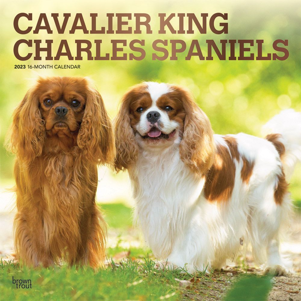 Shop for Cavalier King Charles Spaniels 2023 Square Wall Calendar at Calendars.com Now!