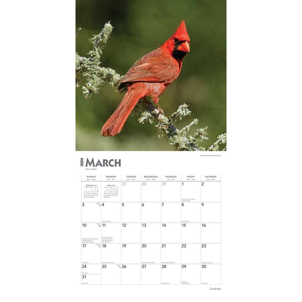 Cardinals 2024 Wall Calendar Calendars Com   D3a80ede 0c91 411a 8308 9546af772b8d