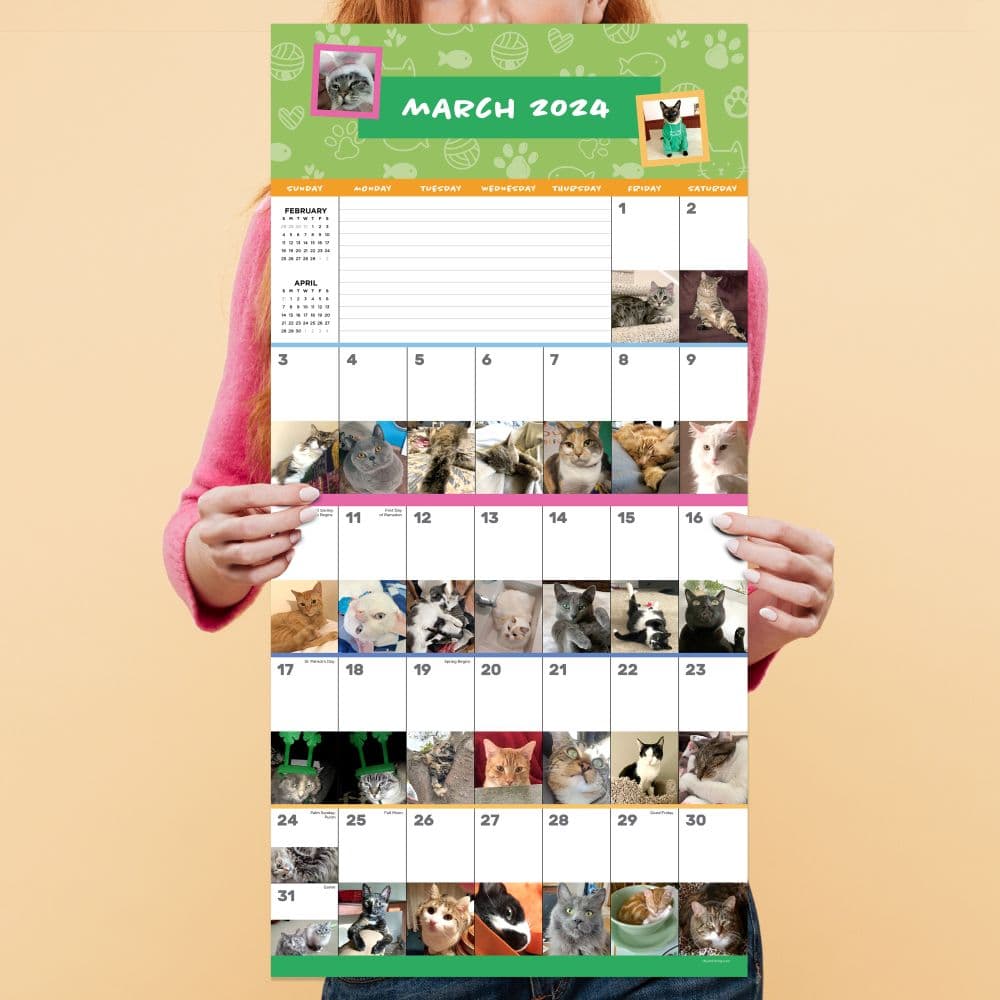 Cat A Day 2024 Wall Calendar