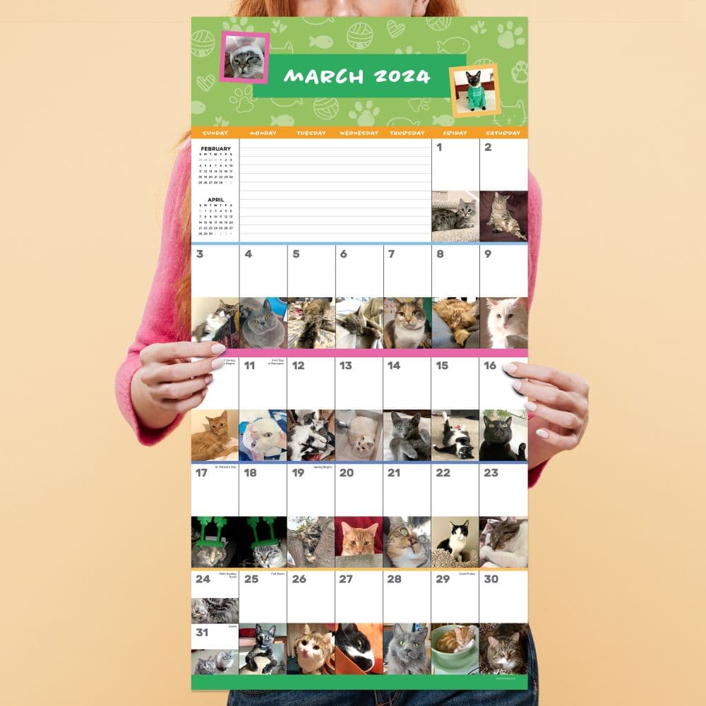 Cat A Day 2024 Wall Calendar Fourth Alternate Image width=&quot;1000&quot; height=&quot;1000&quot;