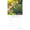 image Cacti and Succulents 2026 Wall Calendar Third Alternate Image