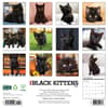 image Black Kitties 2026 Wall Calendar First Alternate Image