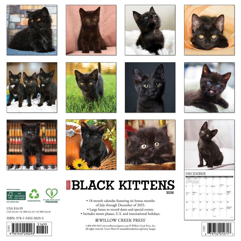Black Kitties 2026 Wall Calendar First Alternate Image