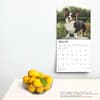 image Welsh Corgis 2025 Wall Calendar Fourth Alternate Image