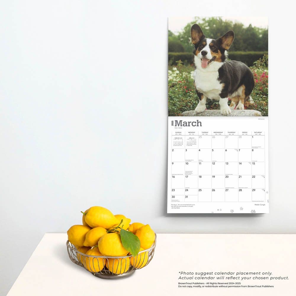 Welsh Corgis 2025 Wall Calendar Fourth Alternate Image