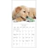 image Puppies and Friends 2025 Mini Wall Calendar Second Alternate Image width="1000" height="1000"