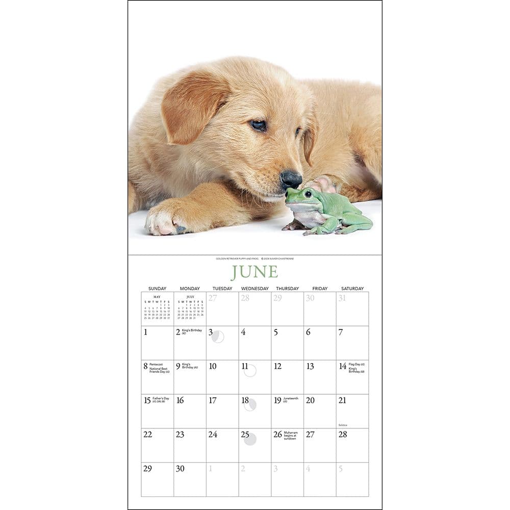 Puppies and Friends 2025 Mini Wall Calendar Second Alternate Image width="1000" height="1000"