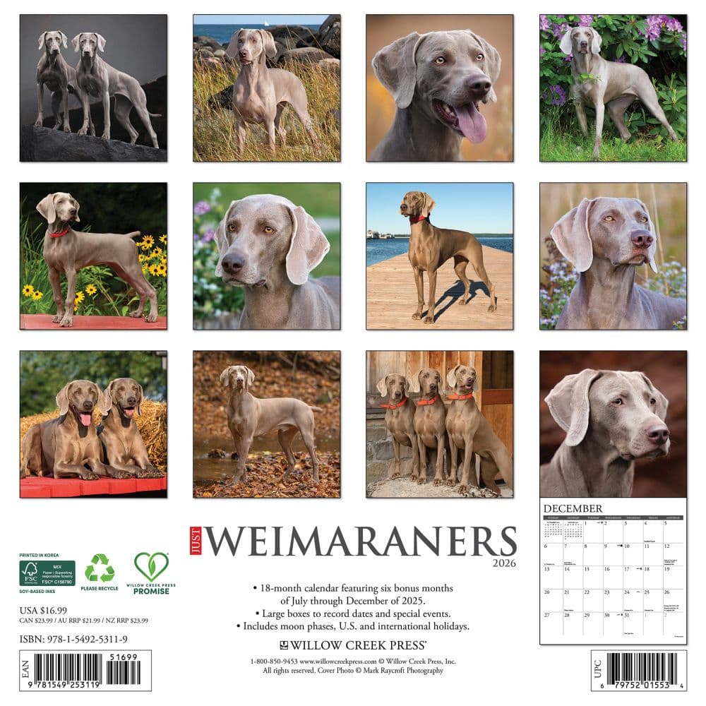 Just Weimaraners 2026 Wall Calendar First Alternate Image