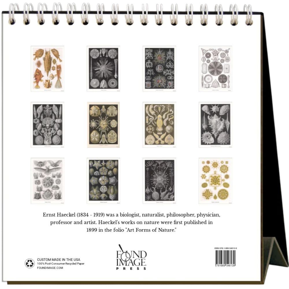 Art Forms of Nature 2026 Easel Desk Calendar First Alternate Image