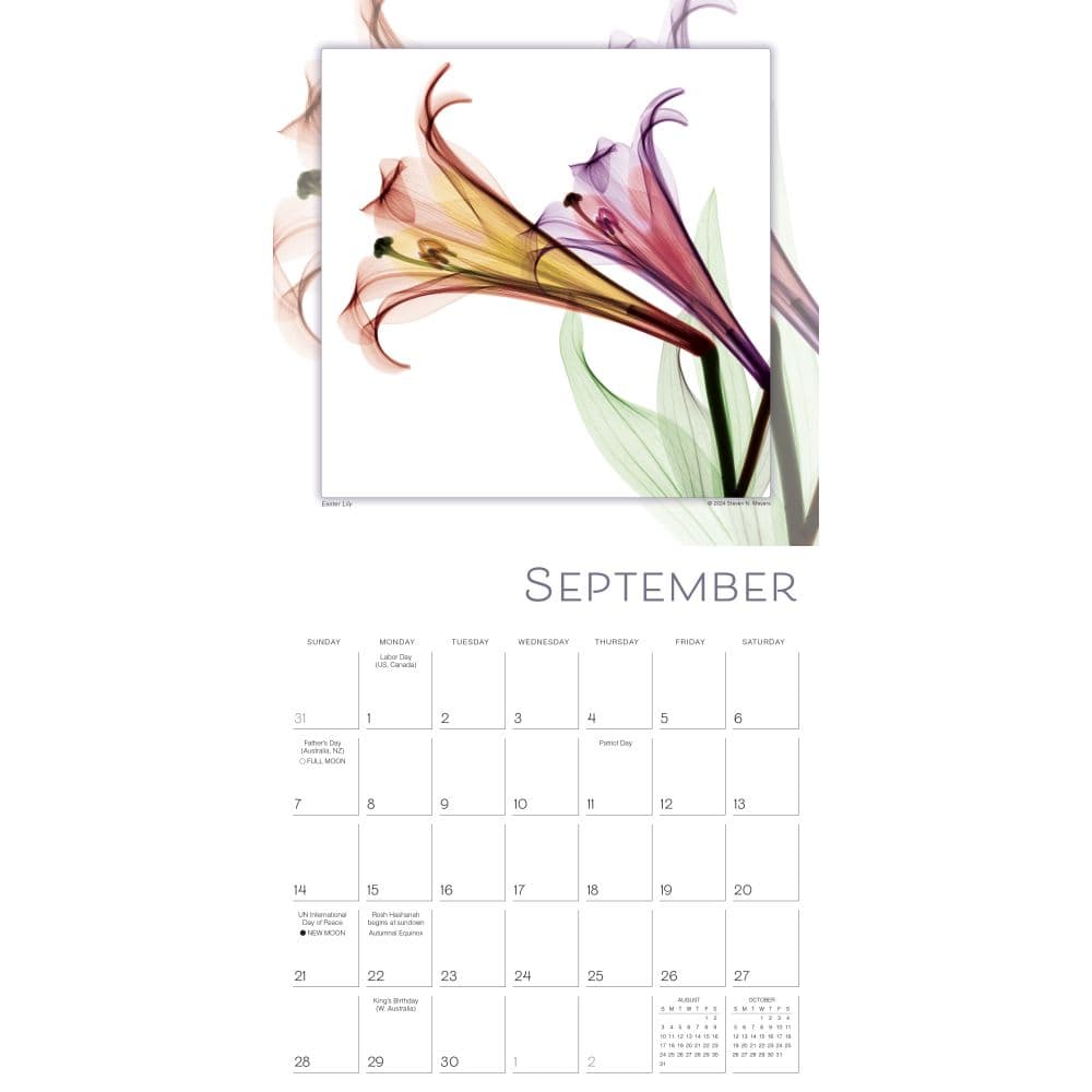 Flower Spirits 2025 Wall Calendar