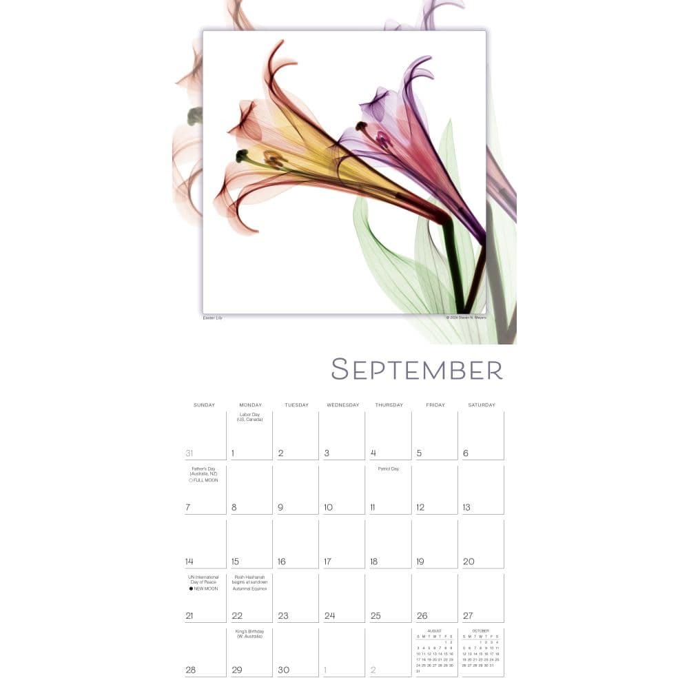 Flower Spirits 2025 Wall Calendar Third Alternate Image width=&quot;1000&quot; height=&quot;1000&quot;