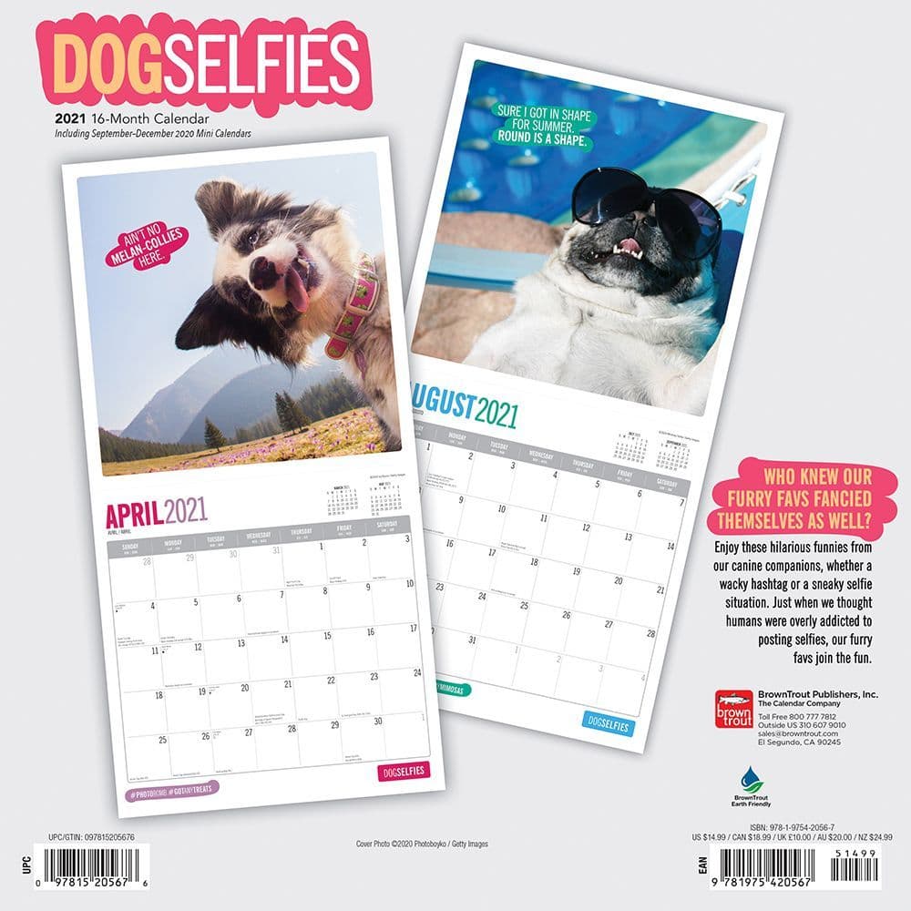 Dog Selfies Wall Calendar
