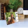 image What Horses Teach Us 2025 Desk Calendar interior image