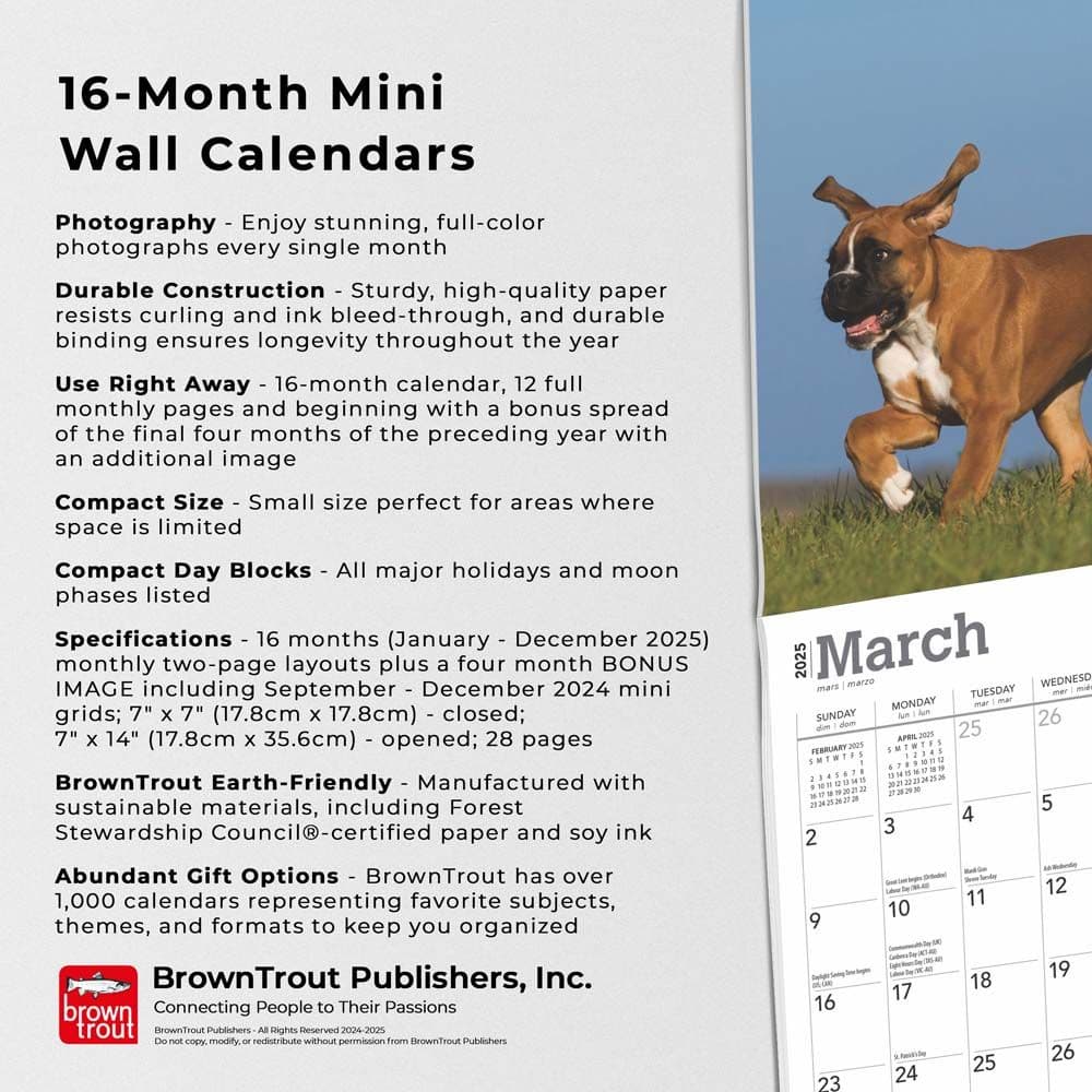 Boxer Puppies 2025 Mini Wall Calendar Fifth Alternate Image width=&quot;1000&quot; height=&quot;1000&quot;