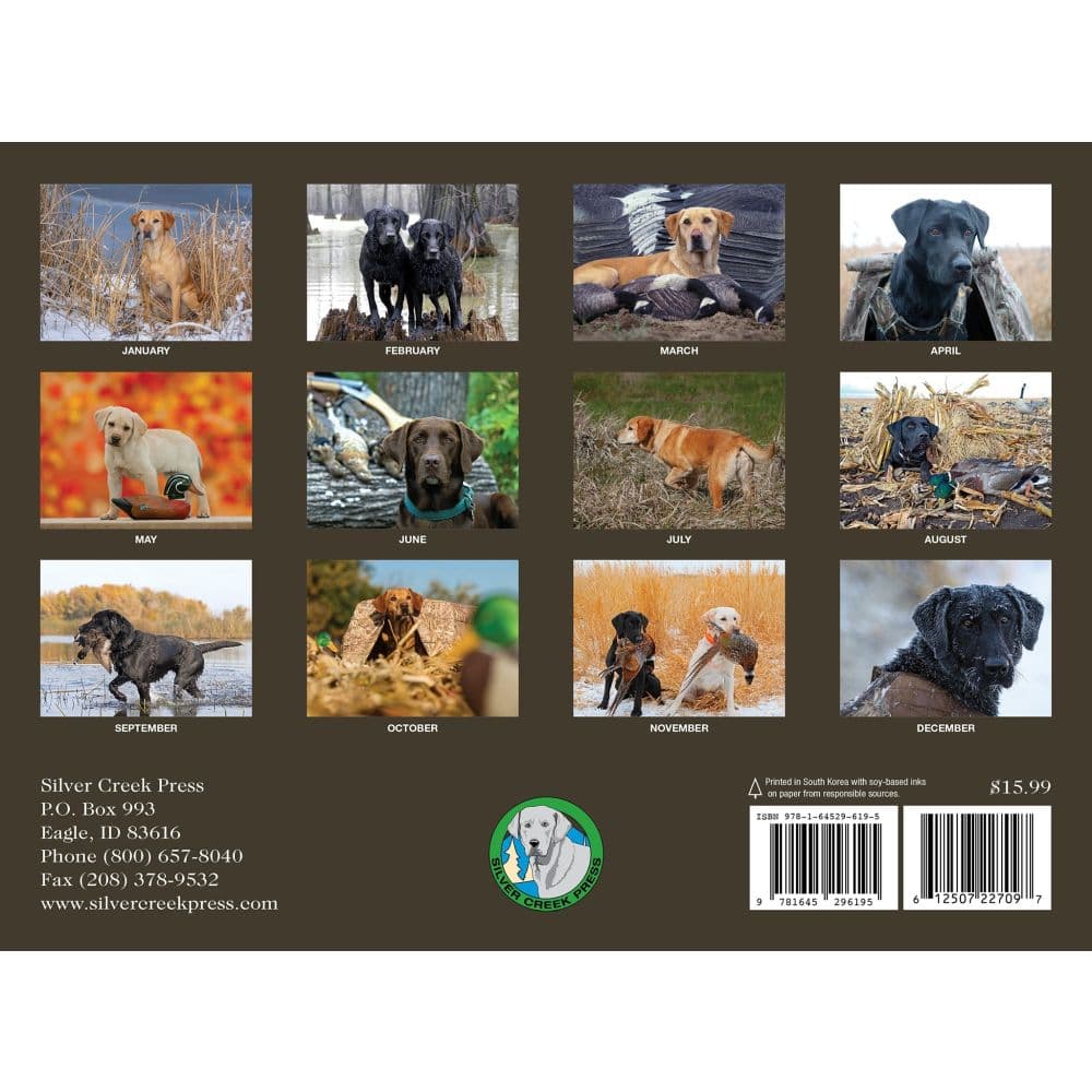 Labs Afield 2027 Wall Calendar First Alternate Image