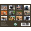 image Labs Afield 2027 Wall Calendar First Alternate Image
