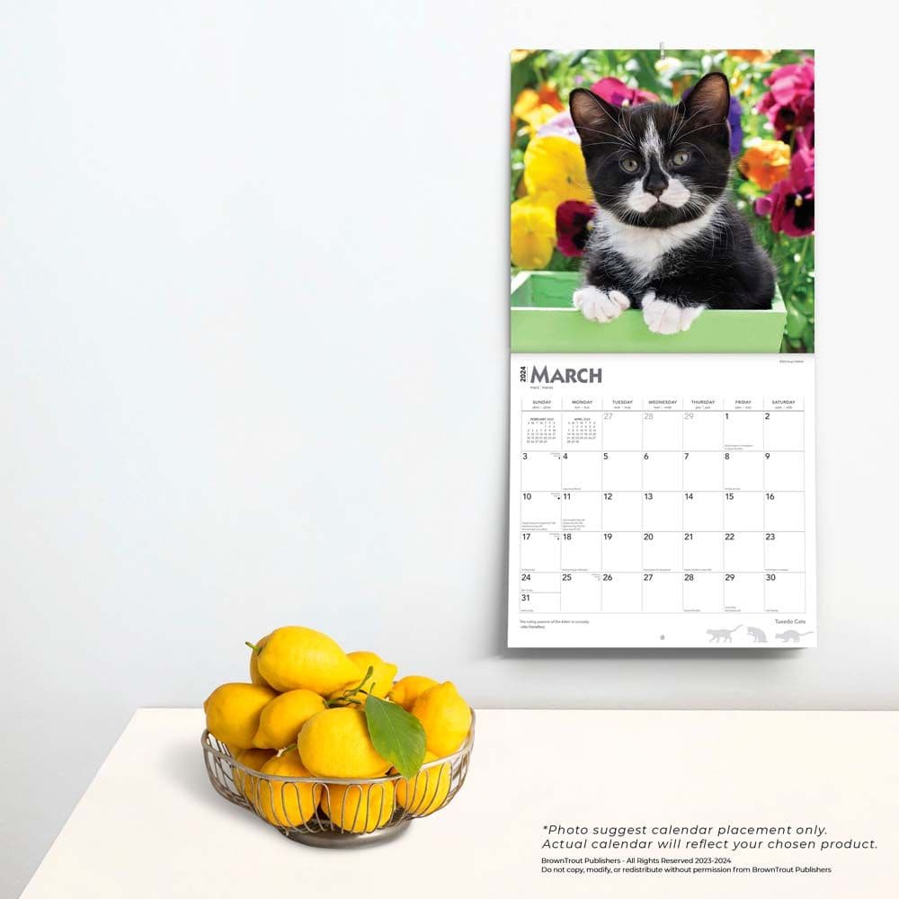 Tuxedo Cats 2024 Wall Calendar 7320