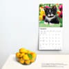 image Tuxedo Cats 2024 Wall Calendar Third Alternate Image width=&quot;1000&quot; height=&quot;1000&quot;