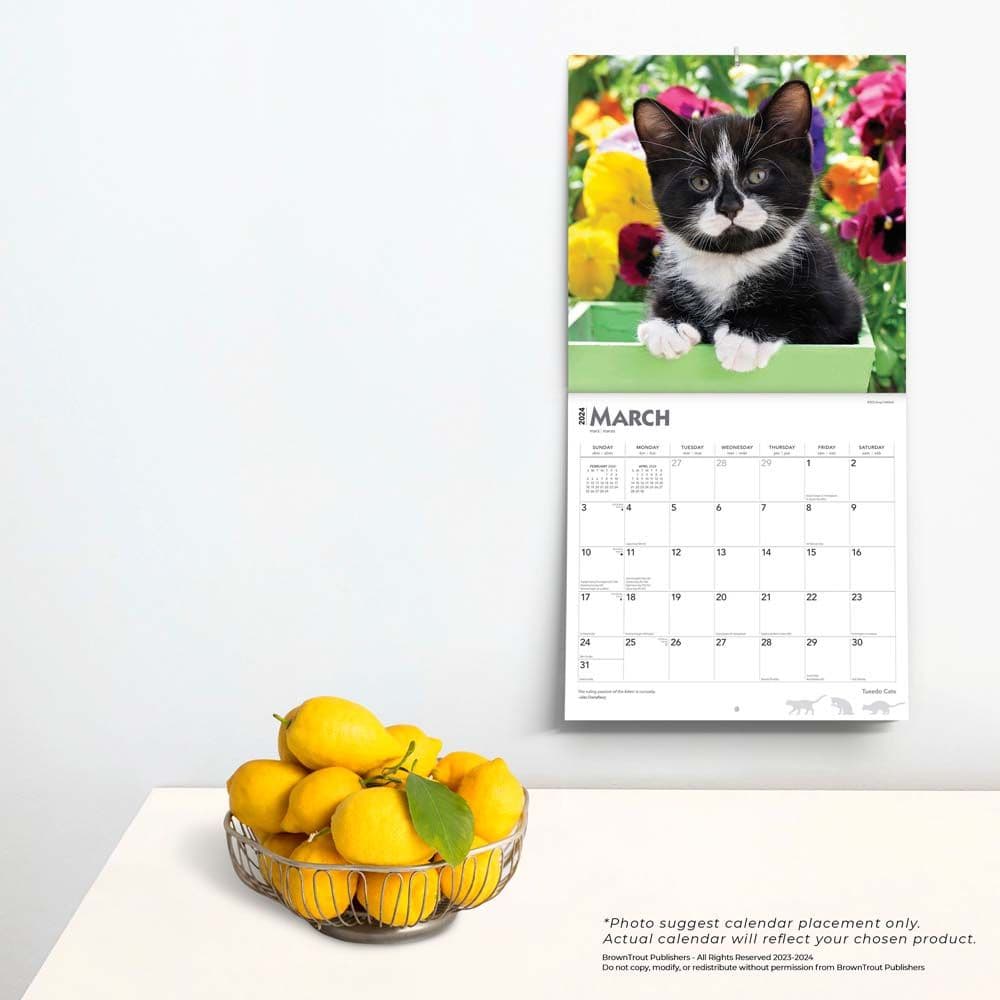 Tuxedo Cats 2024 Wall Calendar Third Alternate Image width=&quot;1000&quot; height=&quot;1000&quot;