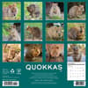 image Quokkas 2026 Wall Calendar First Alternate Image