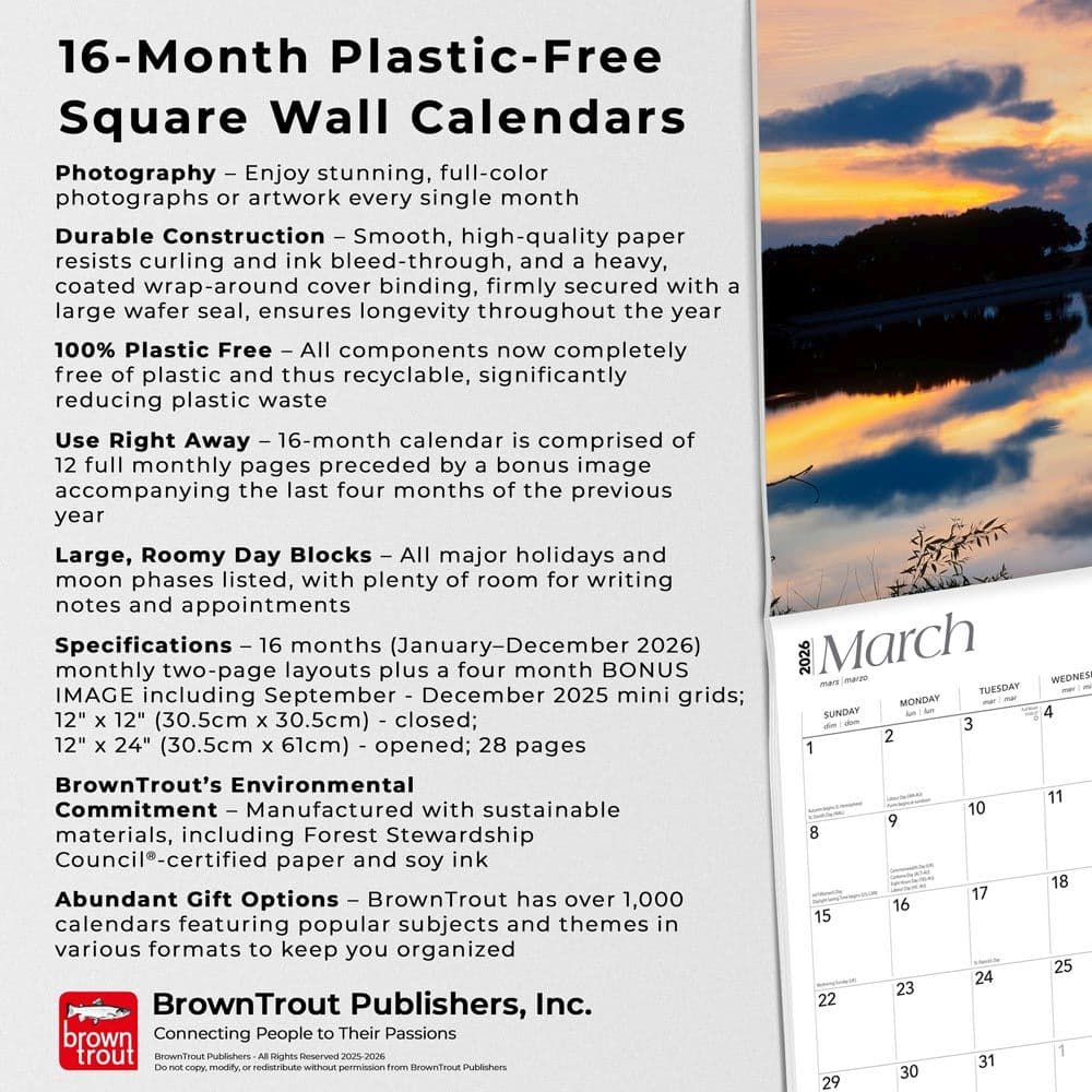  Fifth Alternate Image