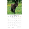 image Donkeys 2025 Wall Calendar Second Alternate Image width="1000" height="1000"